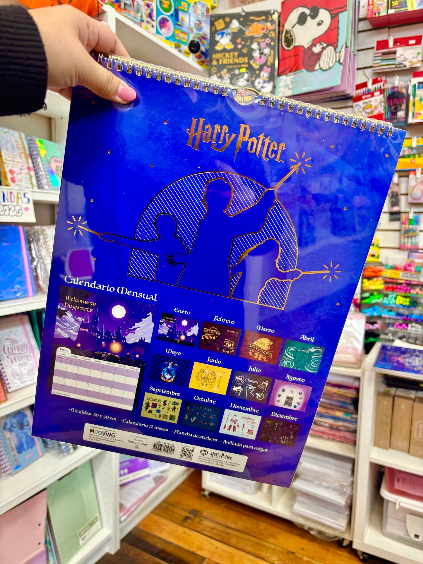 Calendario Harry Potter 2026, Mooving