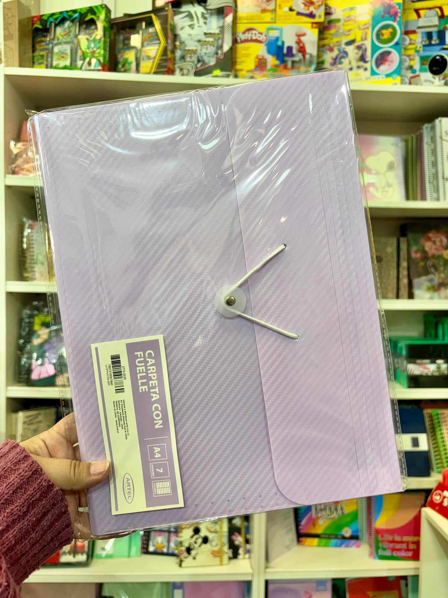 Carpeta con fuelle A4