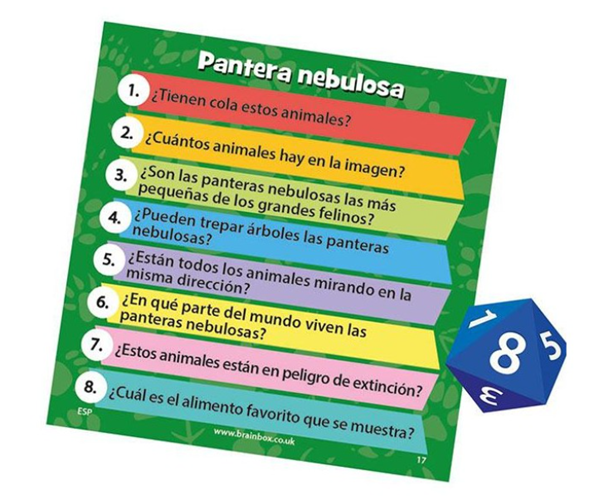 BrainBox Animales