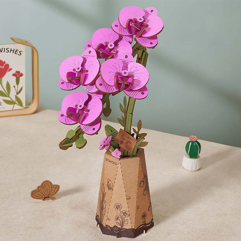 Flor Purple Moth Orchid Orquidea Rolfie