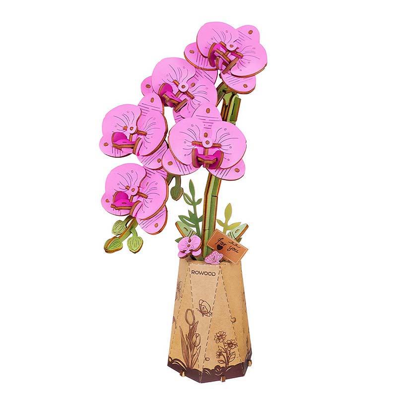 Flor Purple Moth Orchid Orquidea Rolfie