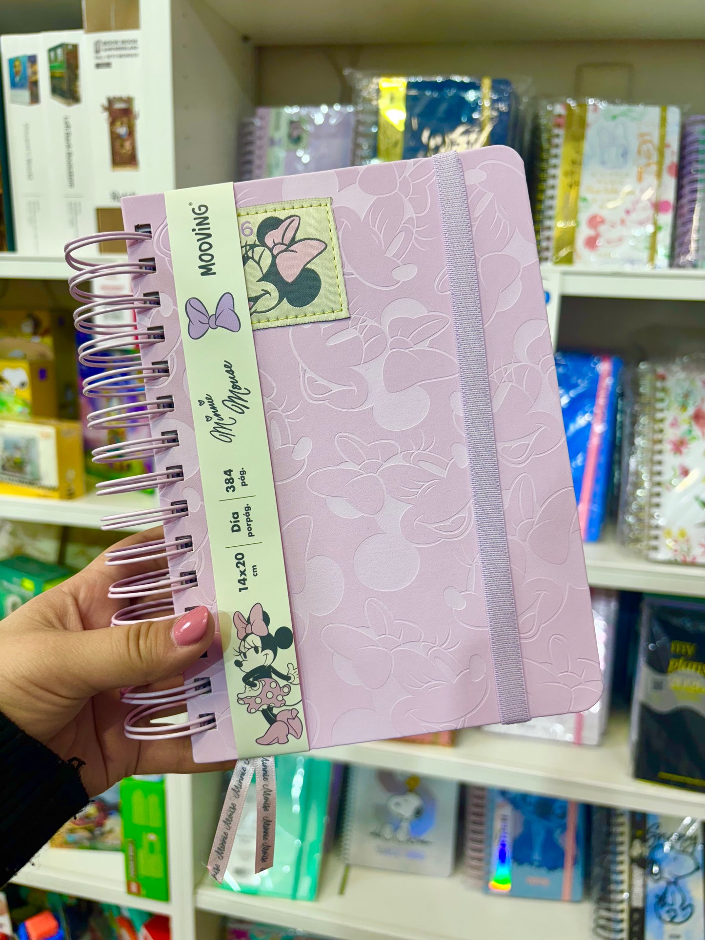 Agenda 2026 Minnie Mooving