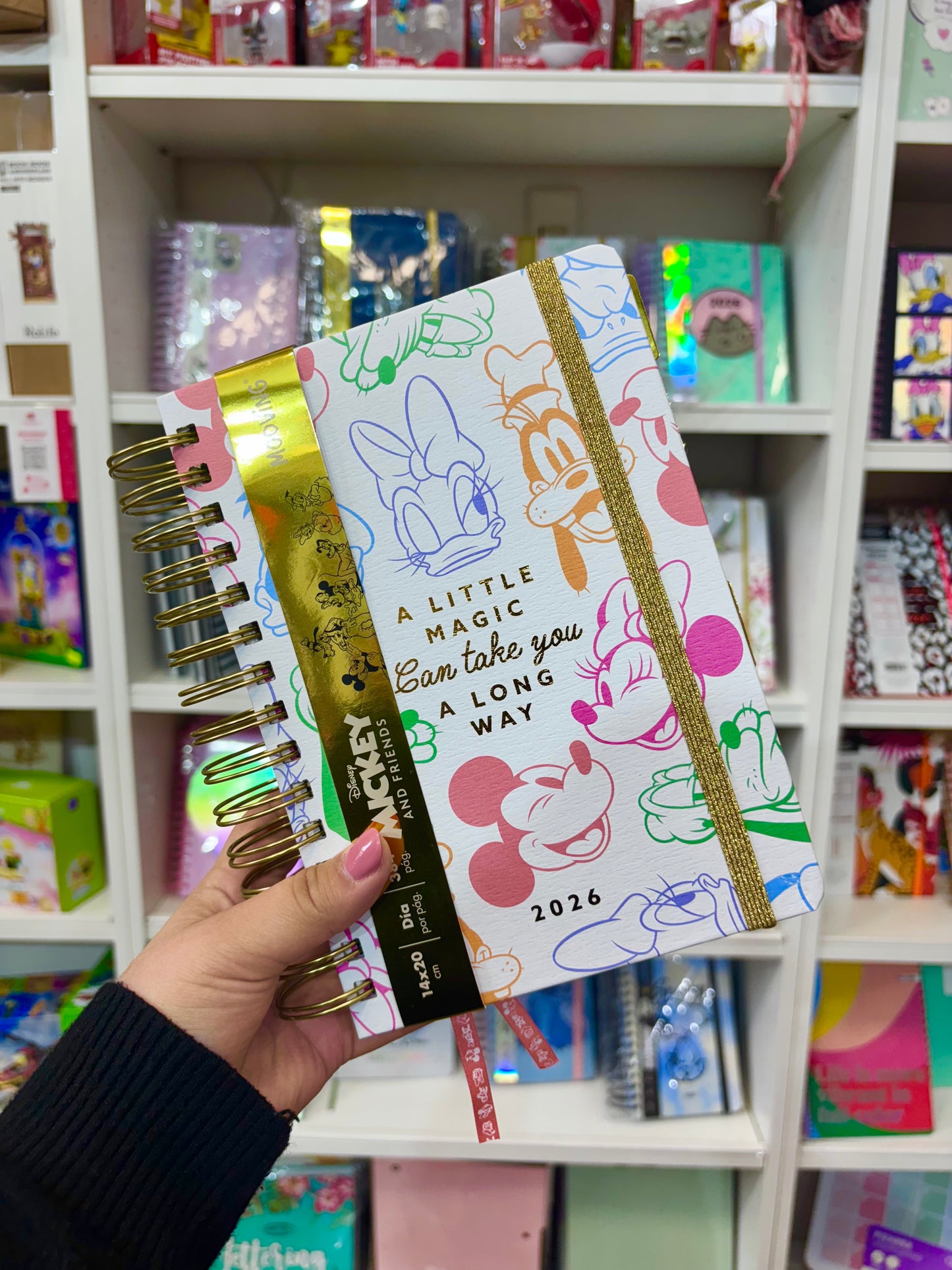 Agenda 2026 Mickey & Friends Mooving