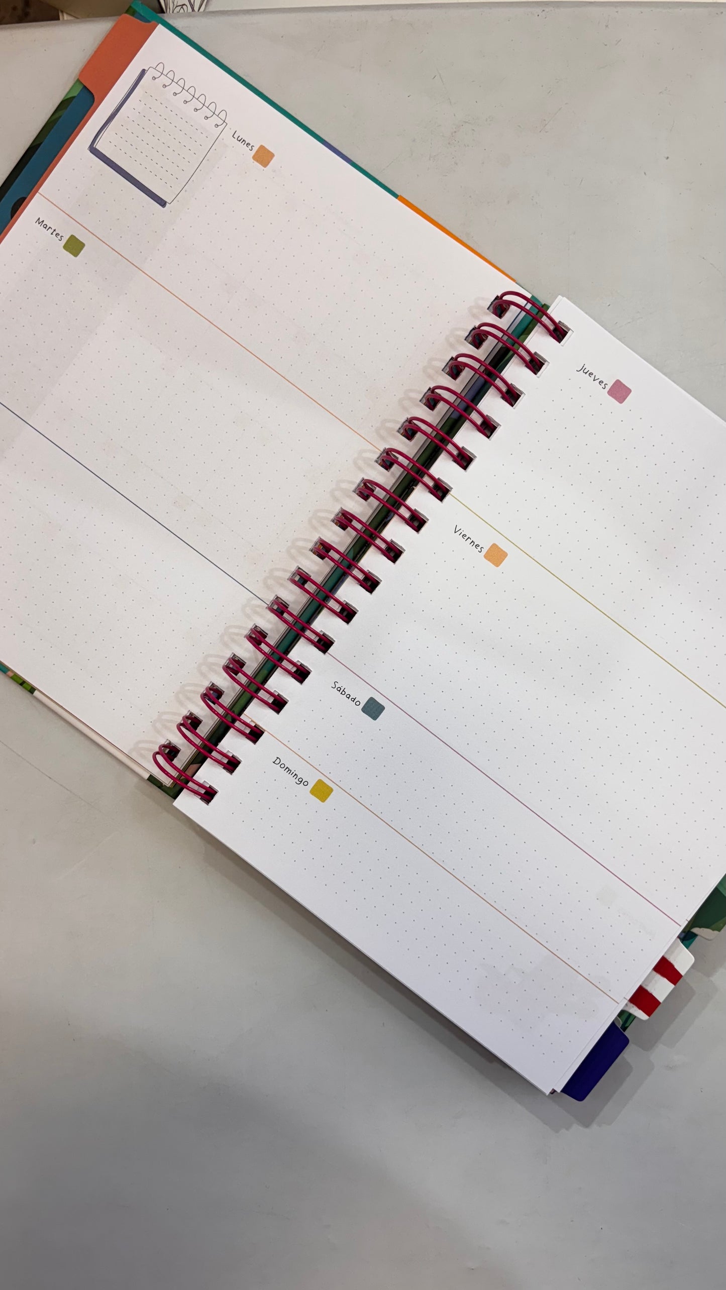 Planner 2026 Dani Blanq sin fechas