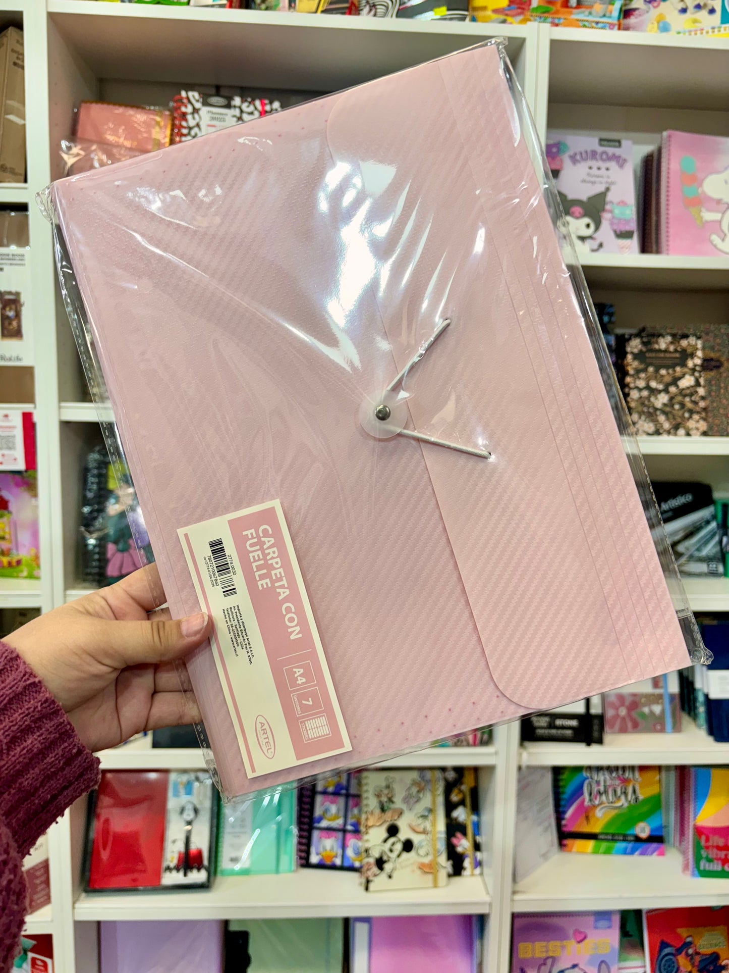 Carpeta con fuelle A4