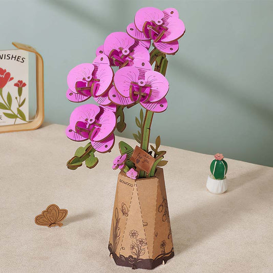 Flor Purple Moth Orchid Orquidea Rolfie